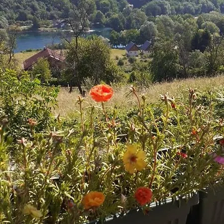 Deni Lohovo
